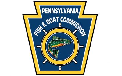 Last Call For Comment On DHALO Regs Change