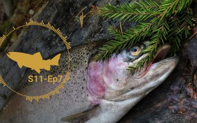 PODCAST: The Troubles With Club Fishing — S11, Ep7