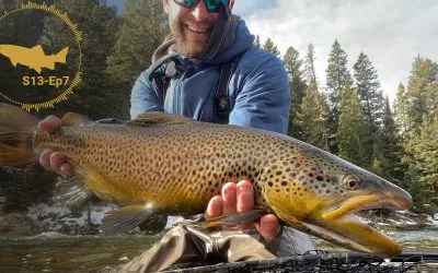 PODCAST: Why Do Some Rivers Hold Big Trout? — S13, Ep7