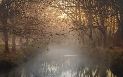 Do We Really Want Fly Fishing to Grow?