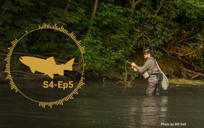 Podcast: Roundtable Review and Wrap Up — Dry Dropper Skills Series #5