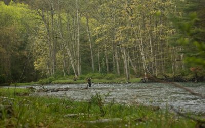 Why Everyone Fishes the Same Water — And What to Do About It