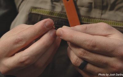 Learn to Love Rigging