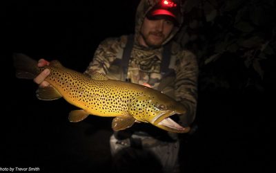 Night Fishing for Trout –The Wiggle and Hang