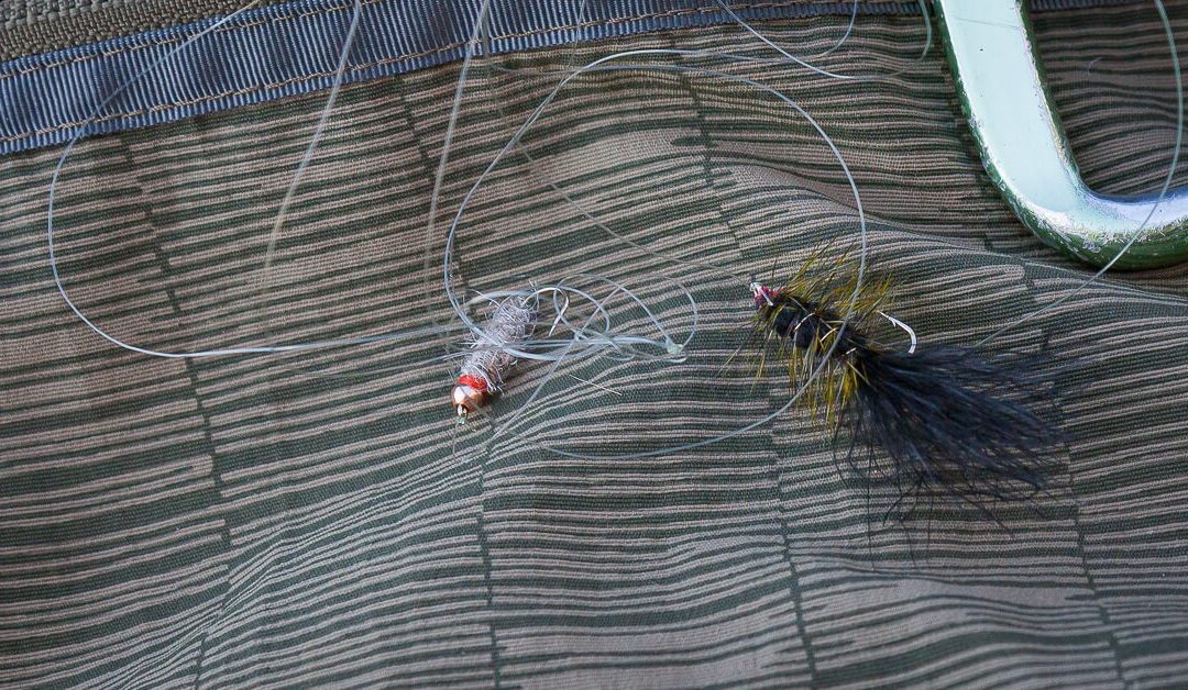 Fly Fishing Strategies: Tangle-Free Tandem Rigs