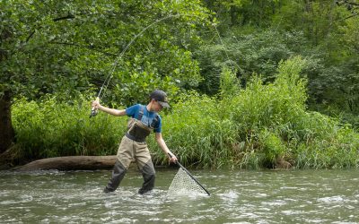 Fighting Big Fish — The Last Ten Feet