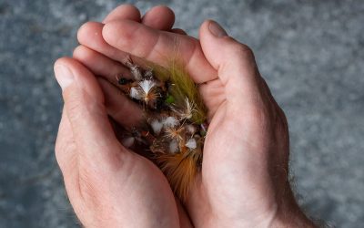 When should you change the fly?